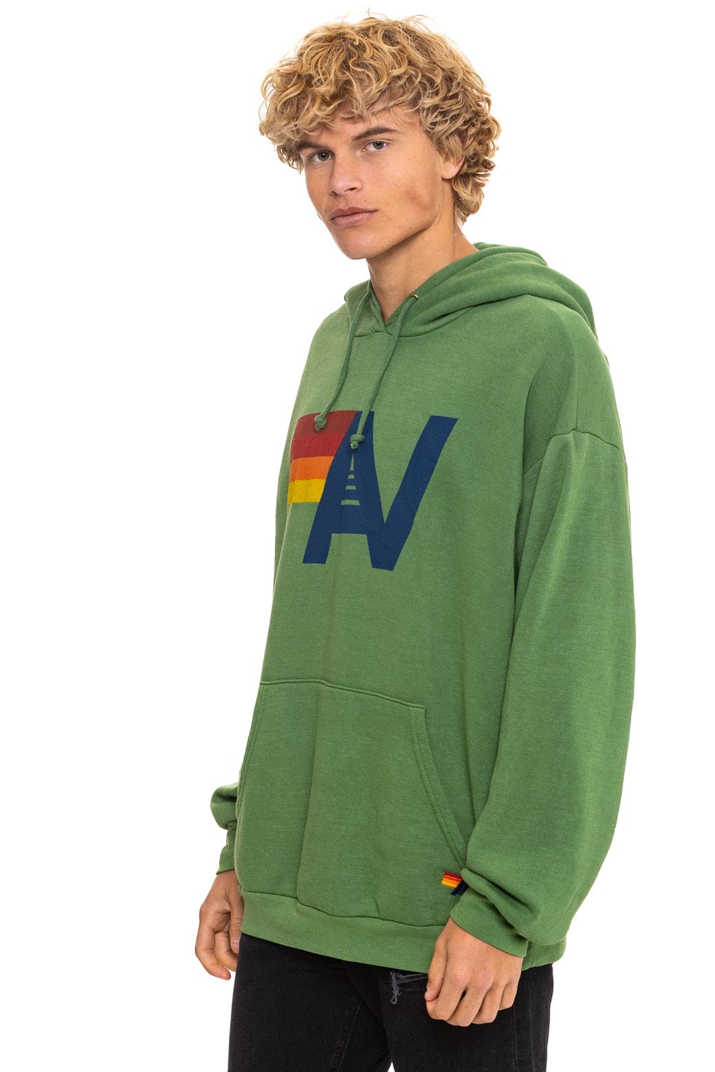 LOGO PULLOVER RELAXED HOODIE - PALM - Image 4