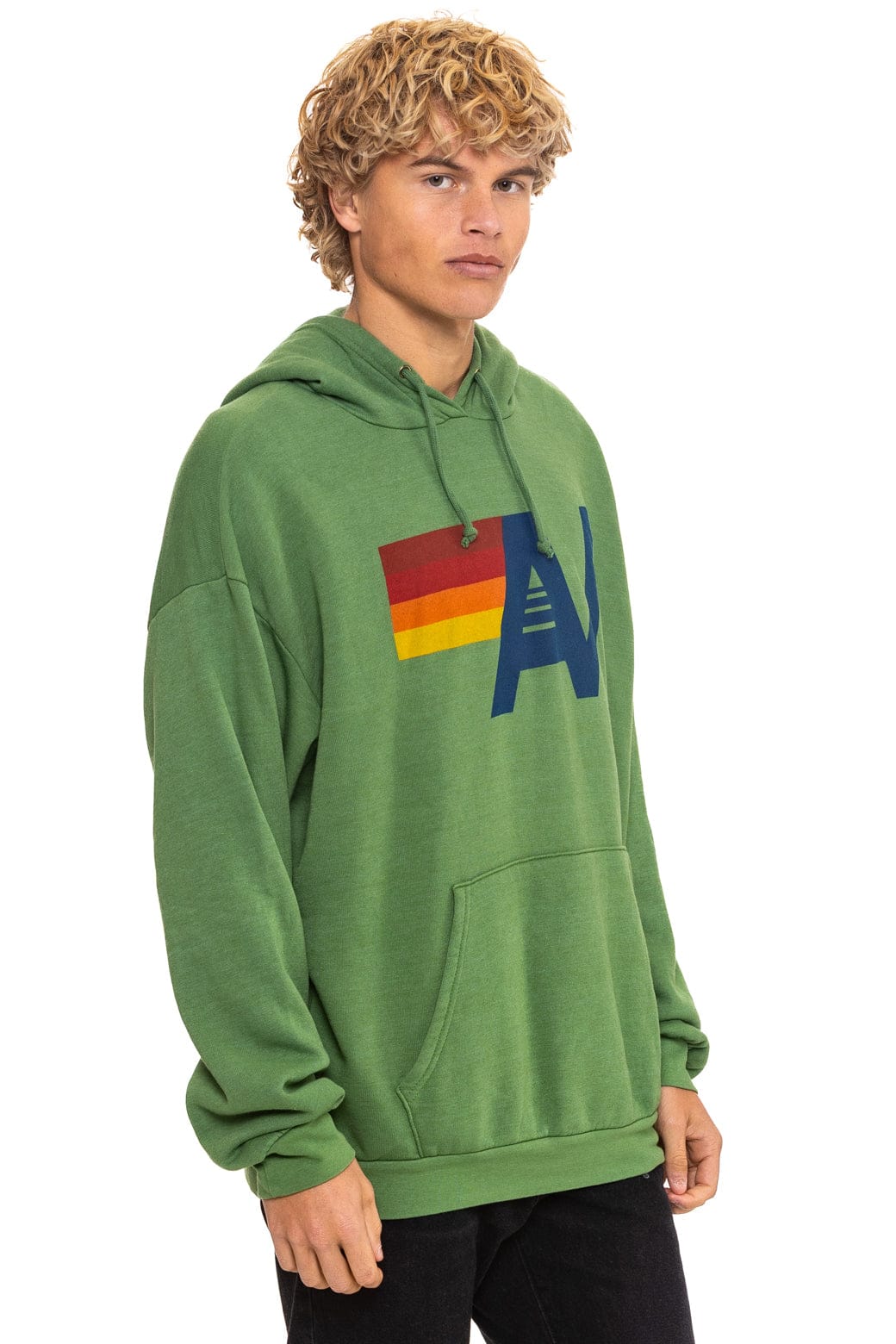 LOGO PULLOVER RELAXED HOODIE - PALM - Image 8