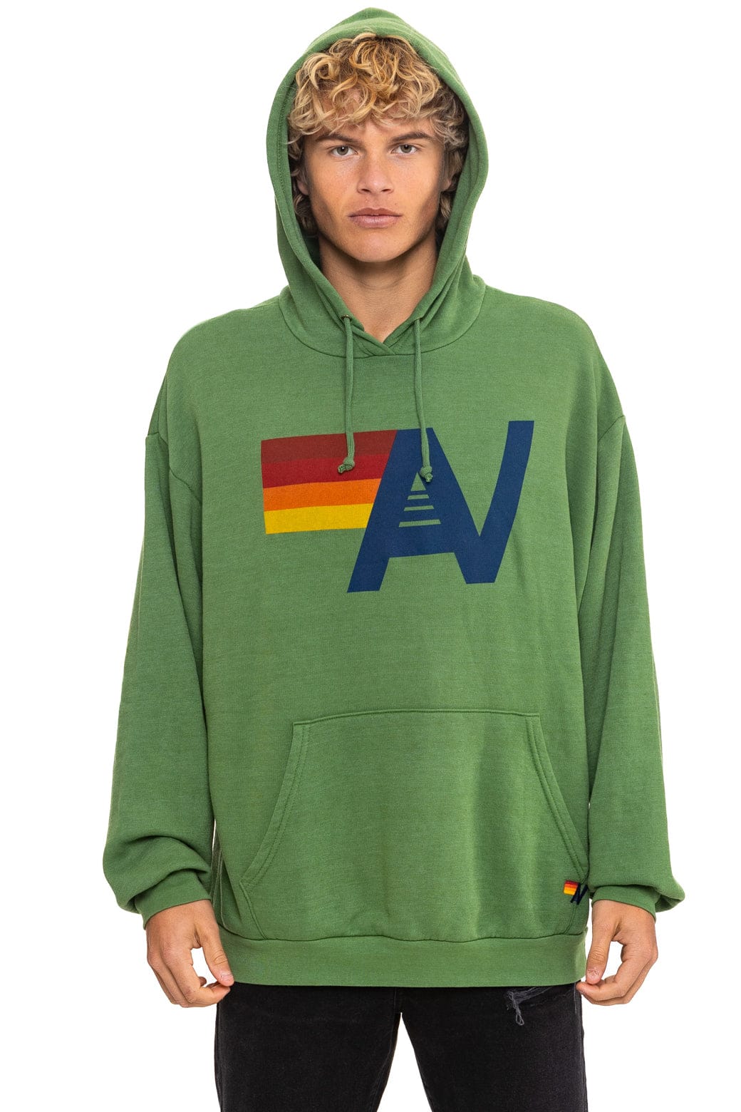 LOGO PULLOVER RELAXED HOODIE - PALM - Image 2