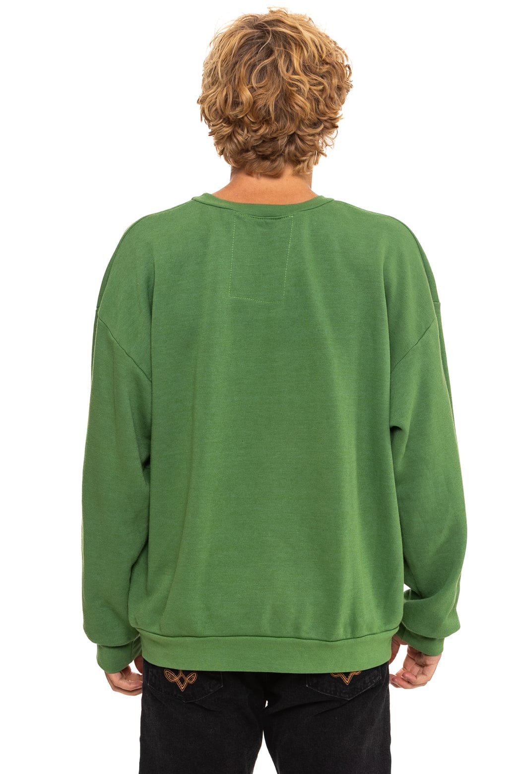 ALL SEASONS CIRCLE RELAXED CREW SWEATSHIRT - PALM - Image 8
