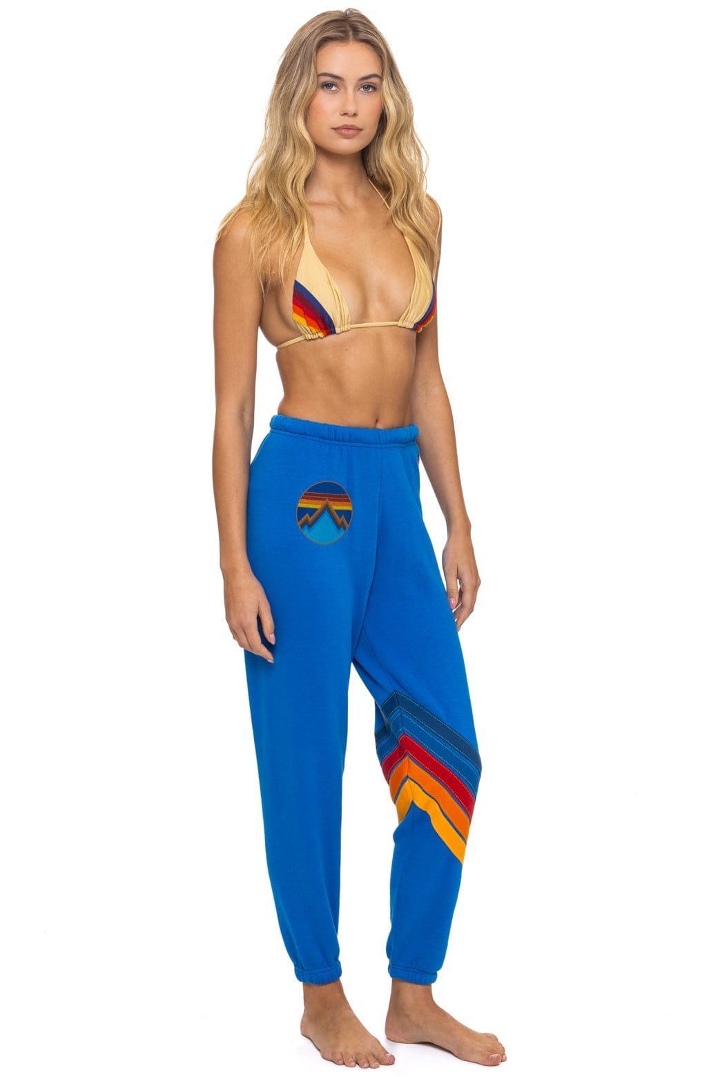 ALL SEASONS CIRCLE CHEVRON SWEATPANTS - ADVENTURE BLUE - Image 3