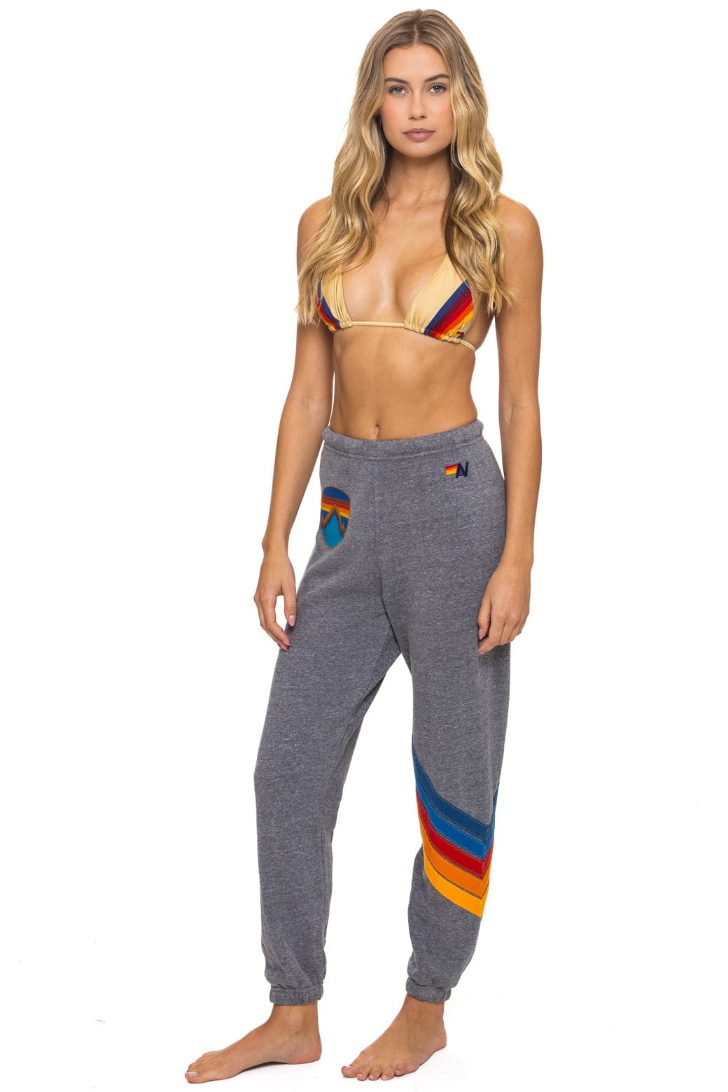 ALL SEASONS CIRCLE CHEVRON SWEATPANTS - HEATHER - Image 5